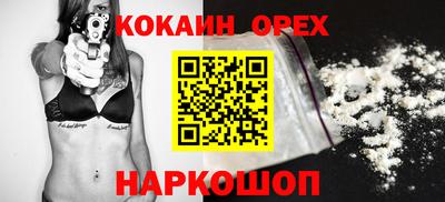 крисы Моздок