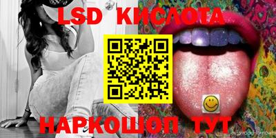 крисы Моздок