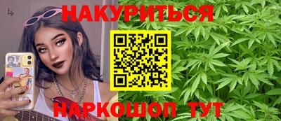 крисы Моздок