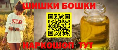 крисы Моздок