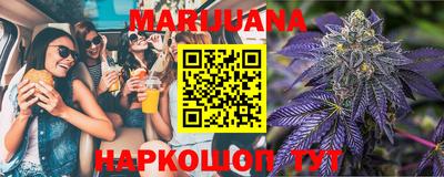 крисы Моздок