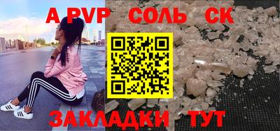 крисы Моздок