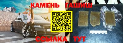 крисы Моздок