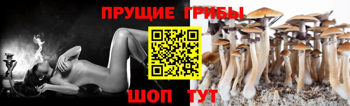 Галлюциногенные грибы Magic Shrooms  закладка  Шахты  Вход с VPN 